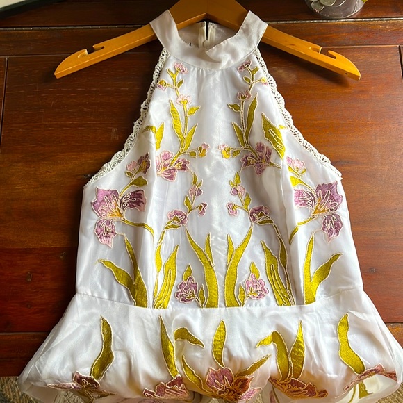 NWT Jaw dropping embroidered dress! - Picture 1 of 8
